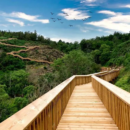 Chale De Montanha Com Sons De Rio Chalet
