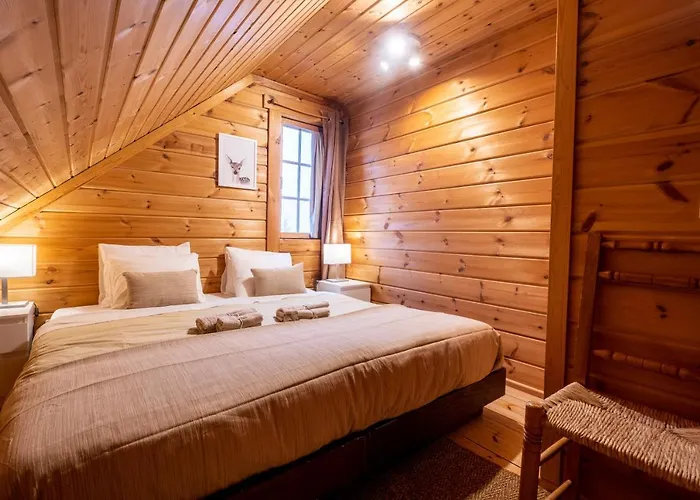 Chale De Montanha Com Sons De Rio シャレー