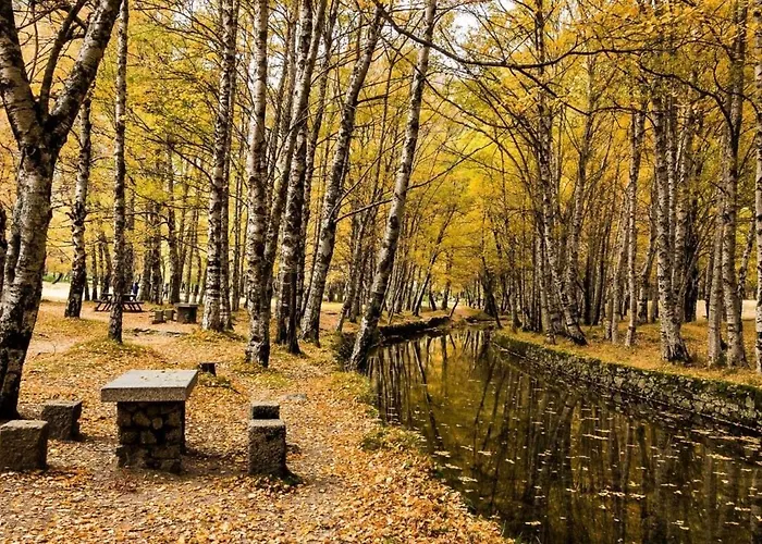 Chale De Montanha Com Sons De Rio Cortes do Meio